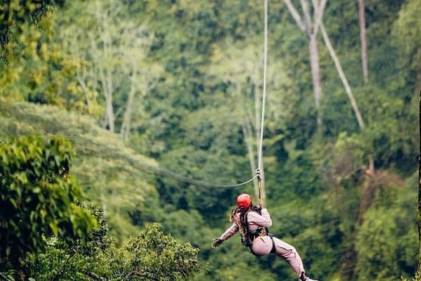 Visitor ziplining above the Nyungwe Forest canopy