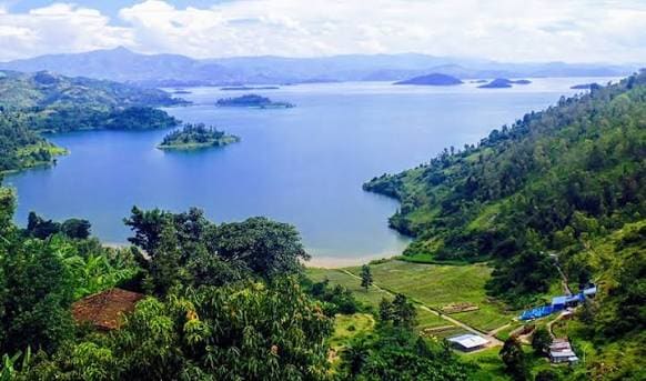 Lake Kivu aerial view showing terraced shoreline