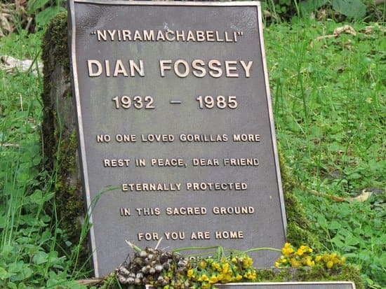 Memorial plaque at the Dian Fossey grave site surrounded by forest
