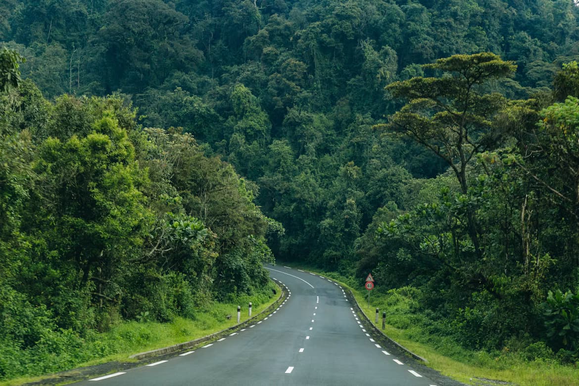 Road winding through forested green hills in Rwanda