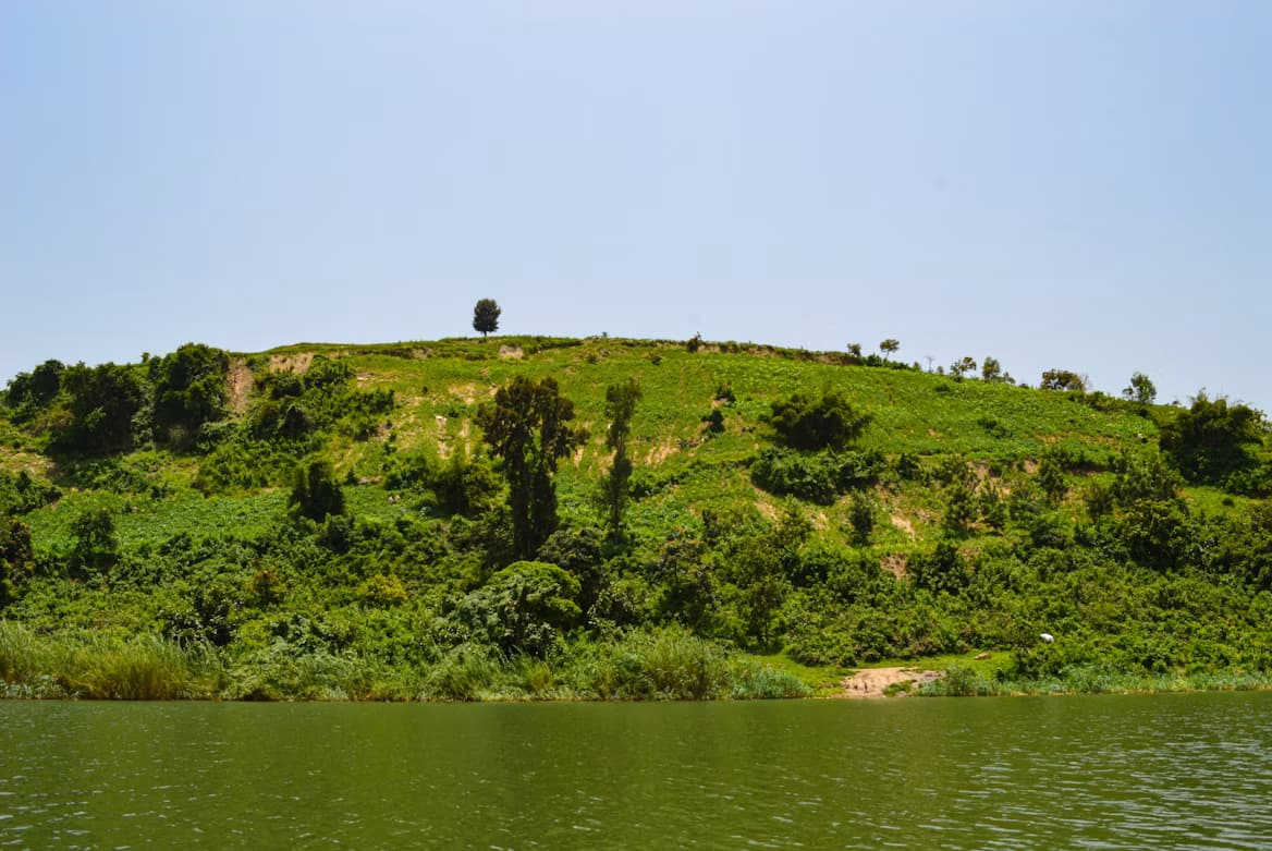 Green hilltop pasture under a soft sky in Rwanda