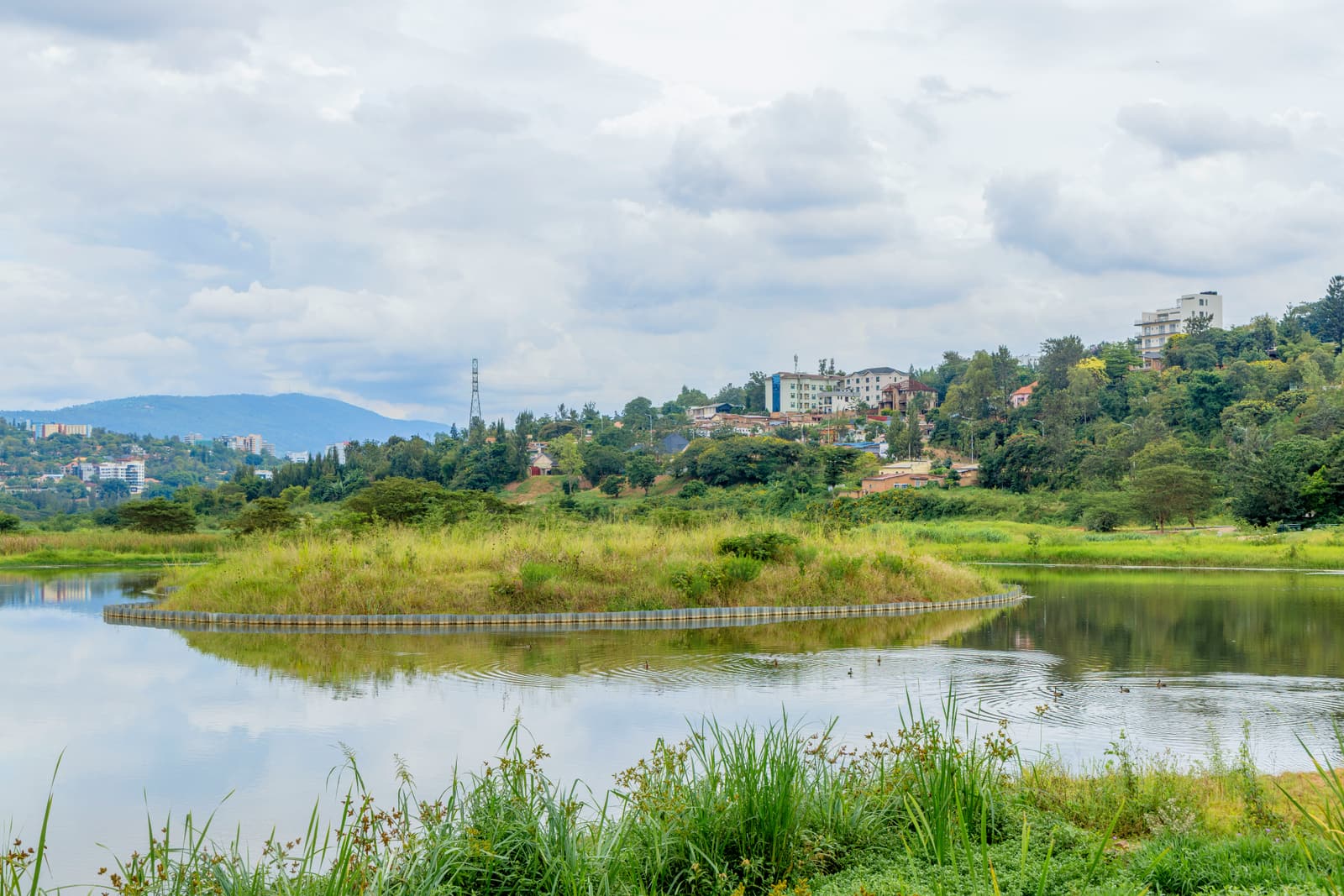 Panorama of a lake, wetland and hills in Rwanda