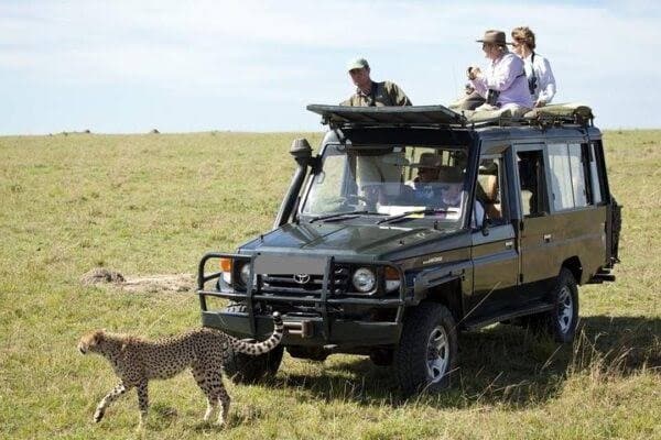 Visitors standing through the roof of a green safari vehicle on the savanna