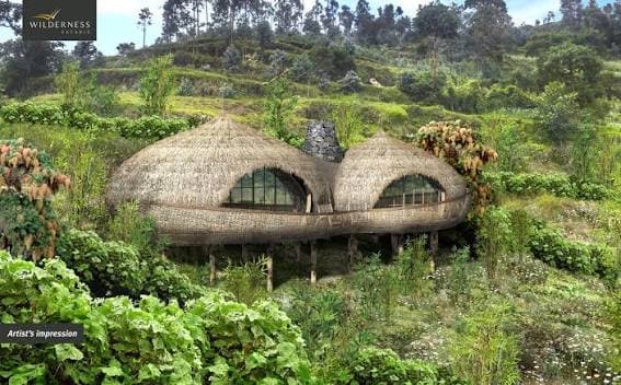 Traditional thatched huts in a forest setting in Rwanda