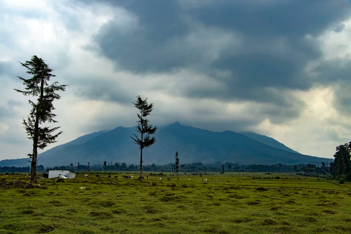 Grassland with a volcano under a cloudy sky near Musanze