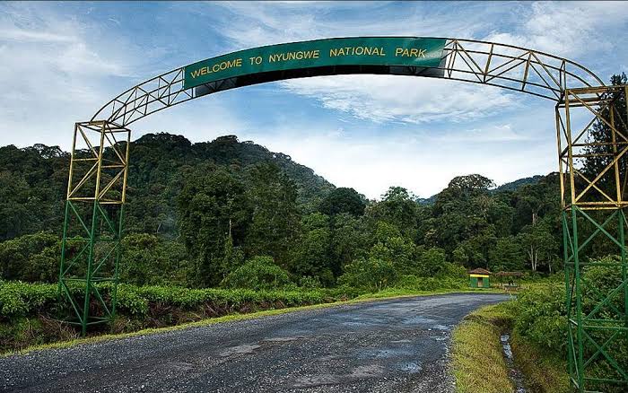 Road leading to the Nyungwe National Park entrance gate